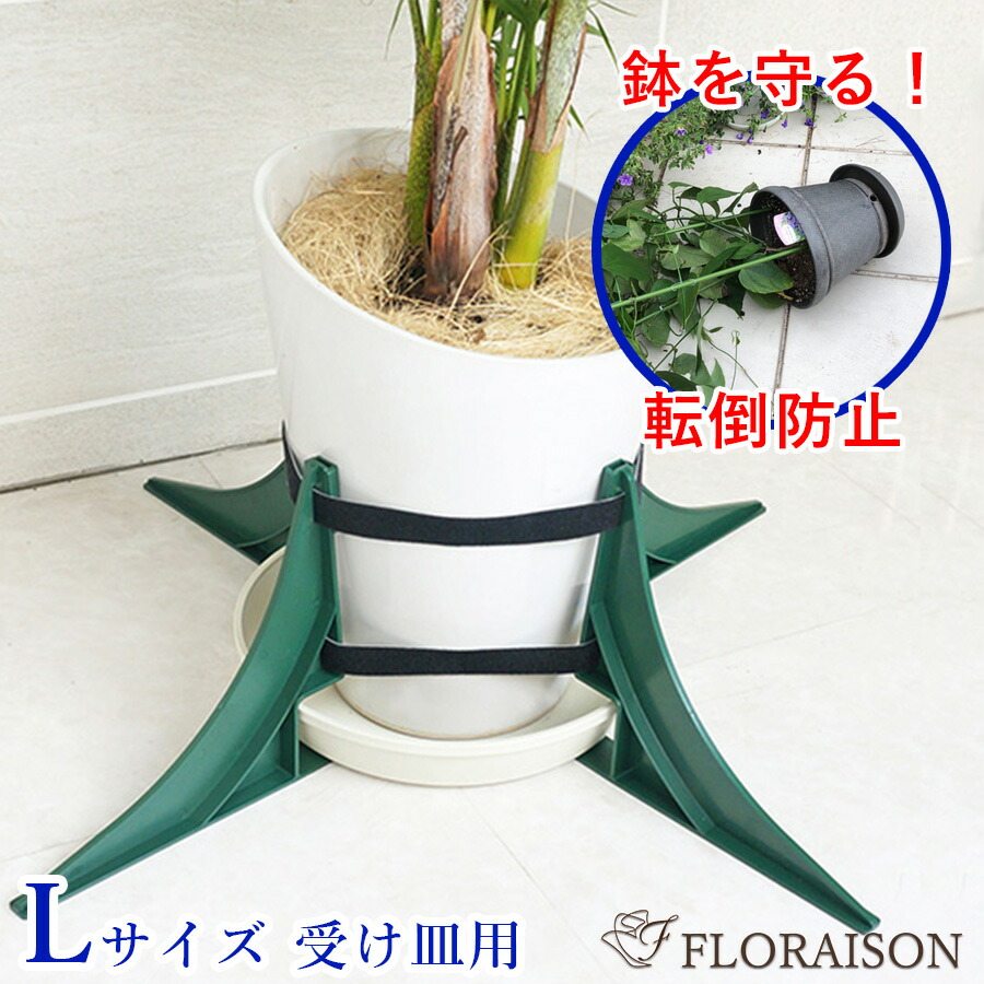 楽天市場 楽天スーパーsale10 Off 鉢転倒ストッパーｌ 植木鉢を倒れないように 台風対策 大鉢用 9号 12号鉢対応 暴風対策 鉢 転倒防止 送料無料 花 雑貨フロレゾン