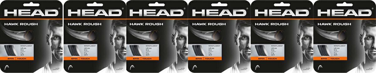 【送料無料】【6張りセット】 HEAD(ヘッド) 硬式テニス ガット 12m HAWK ROUGH 17(ホーク・ラフ) 1.25 グレー 281126-6SET【定番】