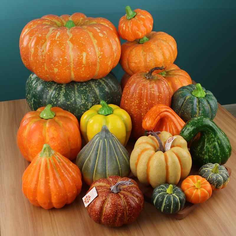 楽天市場】食品サンプル かぼちゃ 人気 リアル カボチャ 南瓜