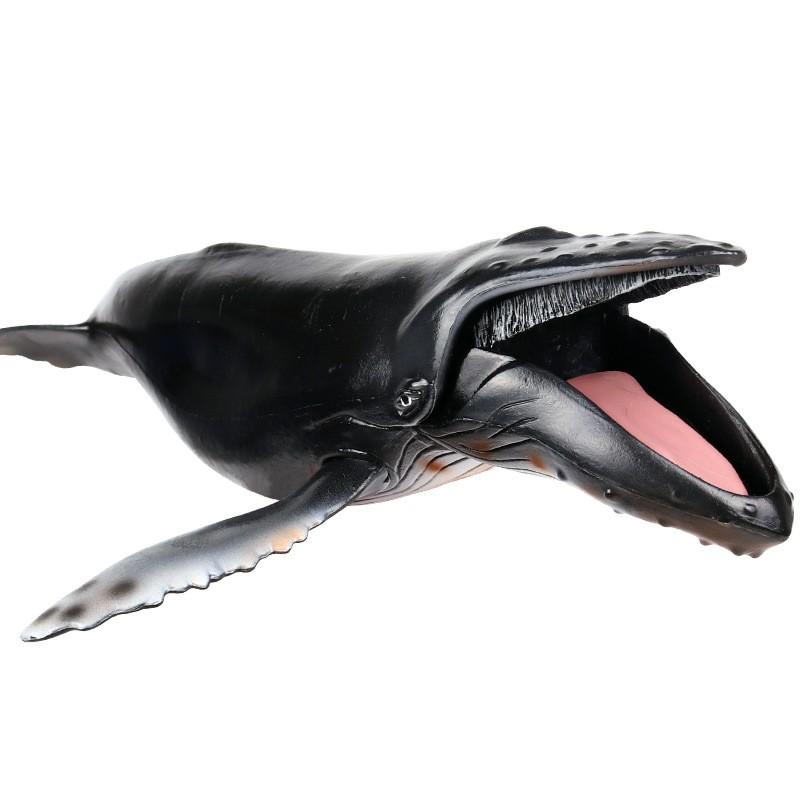 楽天市場】フェバリット 海洋生物フィギュアマリンライフ ソフト