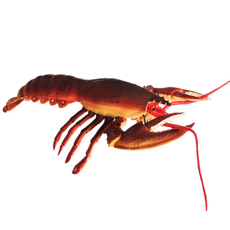 ロブスター 海洋生物 フィギュア 模型 おもちゃ ホビー 人形 コレクション インテリア ミニチュア リアル 子供 模擬 教育 男の子 女の子 ギフト