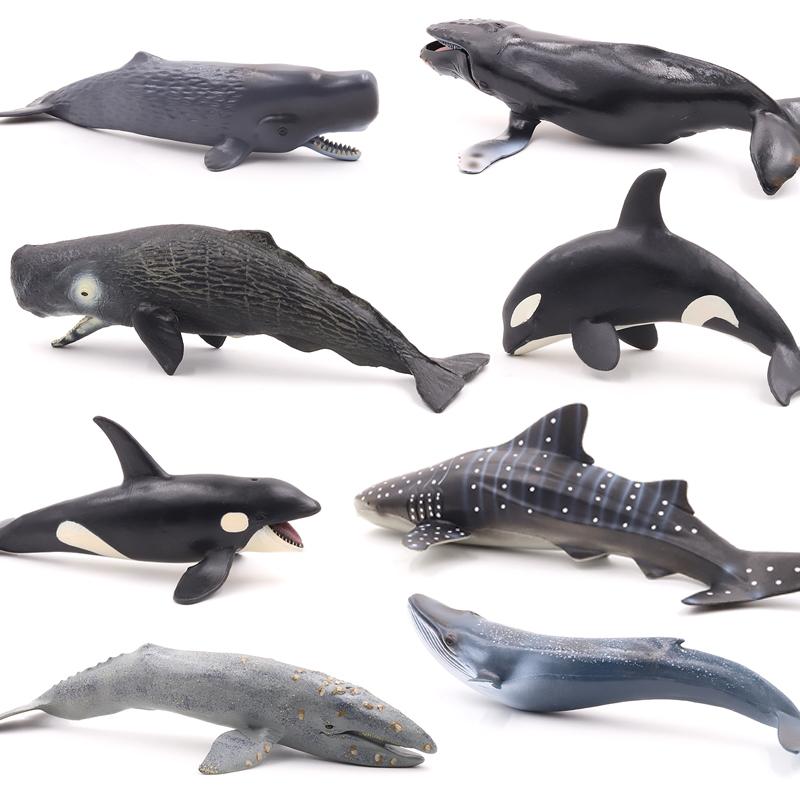 海洋生物 サメ クジラ シャチ イルカ等フィギュア まとめ売り 楽天市場】シャチ 【ネイチャーテクニカラー400 クジラとイルカ