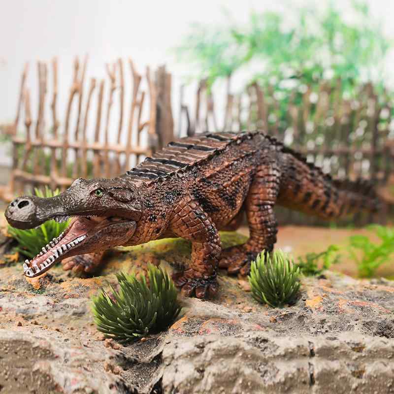 楽天市場】ワニ クロコダイル アリゲーター フィギュア コレクション