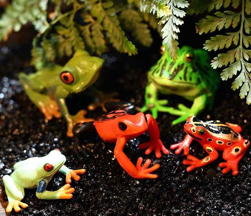 カエルセット カエル キラキラスクイーズセット① - メルカリ