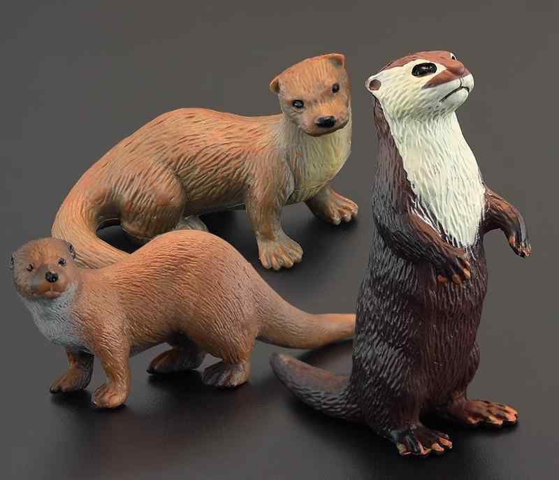 楽天市場】カワウソ 置物 Bタイプ リアルな動物のぬいぐるみ