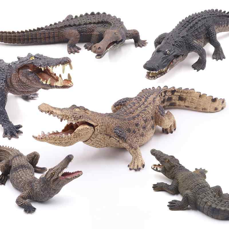 楽天市場】ワニの置物 ナイルワニ リアルな 鰐 わに 爬虫類 動物