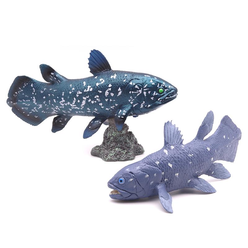 楽天市場】古代魚ビニールモデル シーラカンス : アクアランド