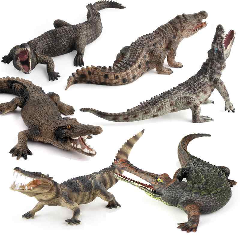 楽天市場】ワニ クロコダイル アリゲーター フィギュア コレクション