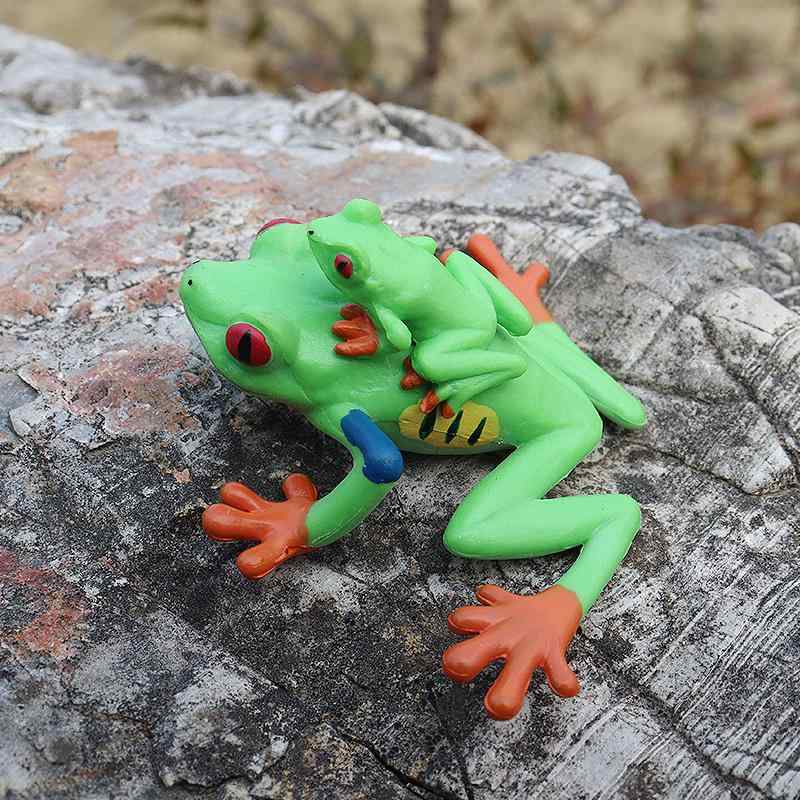 カエルセット 81hcAnmnh-L._UF350,350_QL50_.jpg