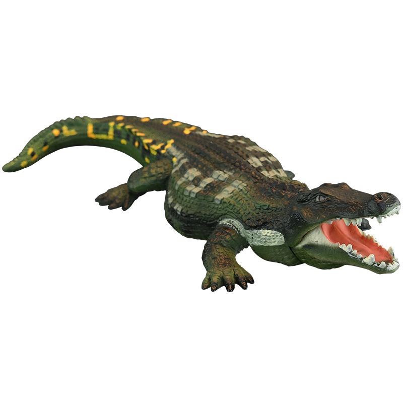 楽天市場】【ポイント10倍 & クーポン！】アメリカンアリゲーター ワニ