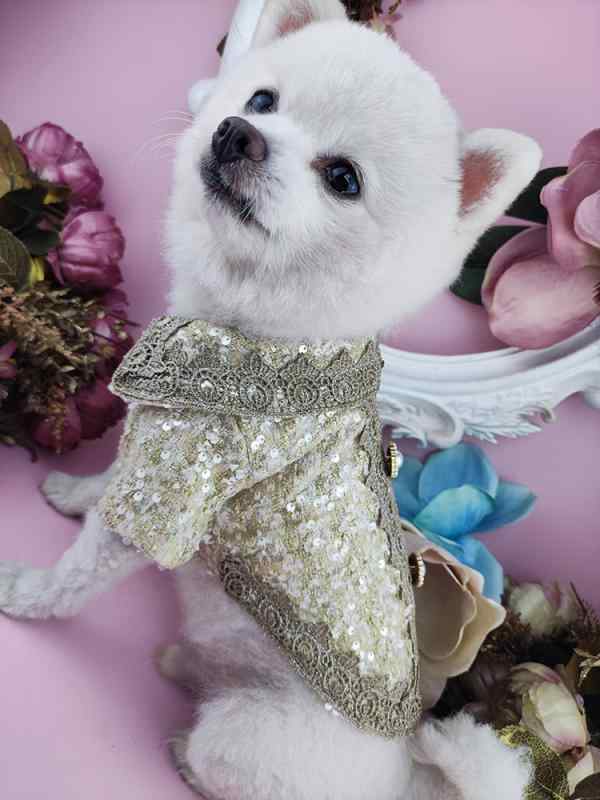 ペット服 犬猫 ウェア シャツ 服 かわいい ベスト 衣装 薄手 室内 散歩 外出 ルーム 室外 小型 春秋冬