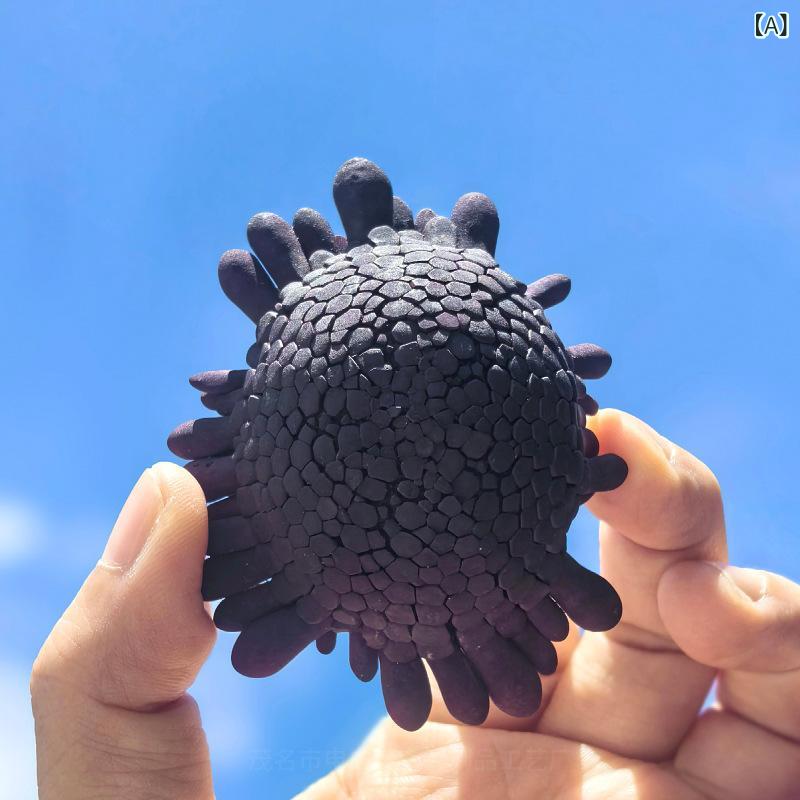 置物 インテリア 天然 貝殻 巻き貝 ウニの殻 珊瑚 ヘルメット型 ドーム型 地中海風 マリンテイスト 多肉植物 観葉植物用 プランター ポット ランプシェード オブジェ 飾り おしゃれ ユニーク