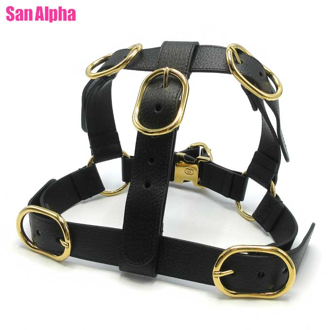 楽天市場】グッチ ペット 首輪 犬用 GUCCI INTERLOCKING G インター