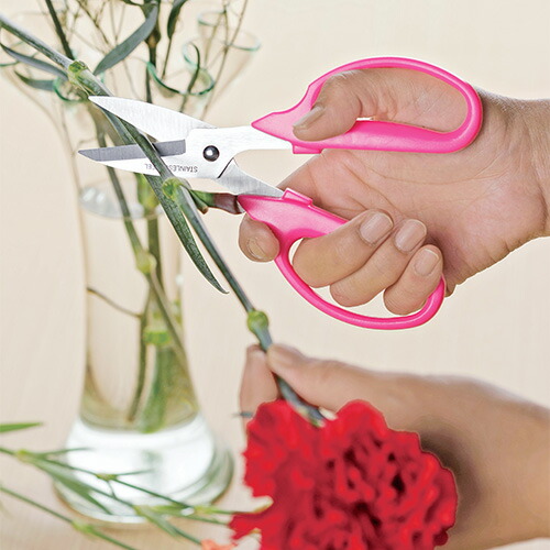 フラワーはさみ Sv 4922 生け花 フラワーアレンジメント 鋏 ハサミ かわいい ピンク 手入れ 女性用 ミニサイズ クリスマス プレゼント 超大特価