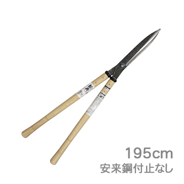 imgrc0079640746.jpg