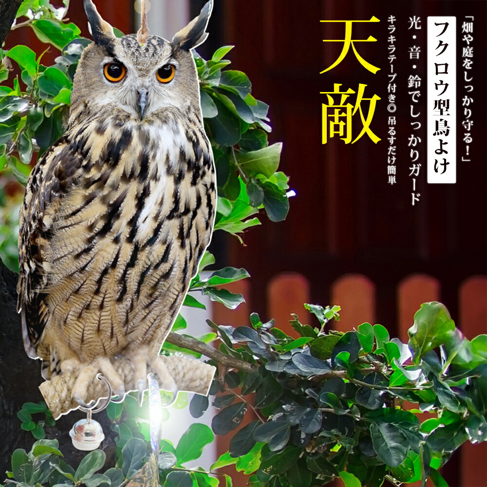 フクロウと月　50号サイズ 鳥よけ番鳥 フクロウ : コメリドットコム - 通販 - Yahoo