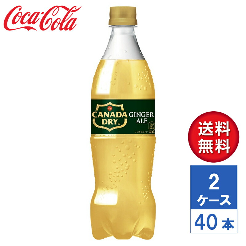 【メーカー直送】カナダドライ ジンジャーエール 700ml PET 2ケース(40本入)【送料無料】
