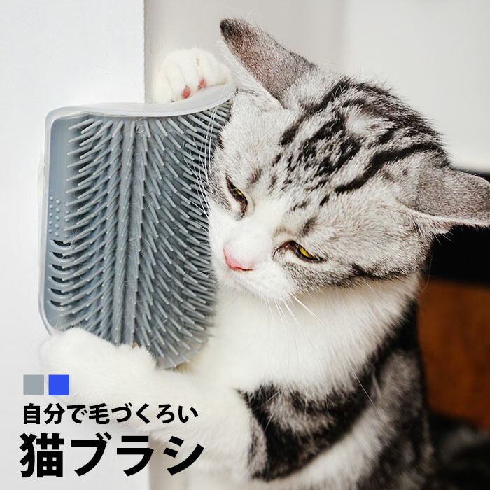 楽天市場 猫 ブラシ 猫ブラシ 猫用 ねこ 毛づくろい 自分で毛づくろい ペット 柱 壁 椅子 脚 角に貼るだけ ネコの毛づくろいブラシ ペット用 ペットブラシ 猫が喜ぶ 猫グッズ 猫用品 猫 雑貨 おもちゃ スリッカー 抜け毛 グルーミング トリミングブラシ Pet10 P