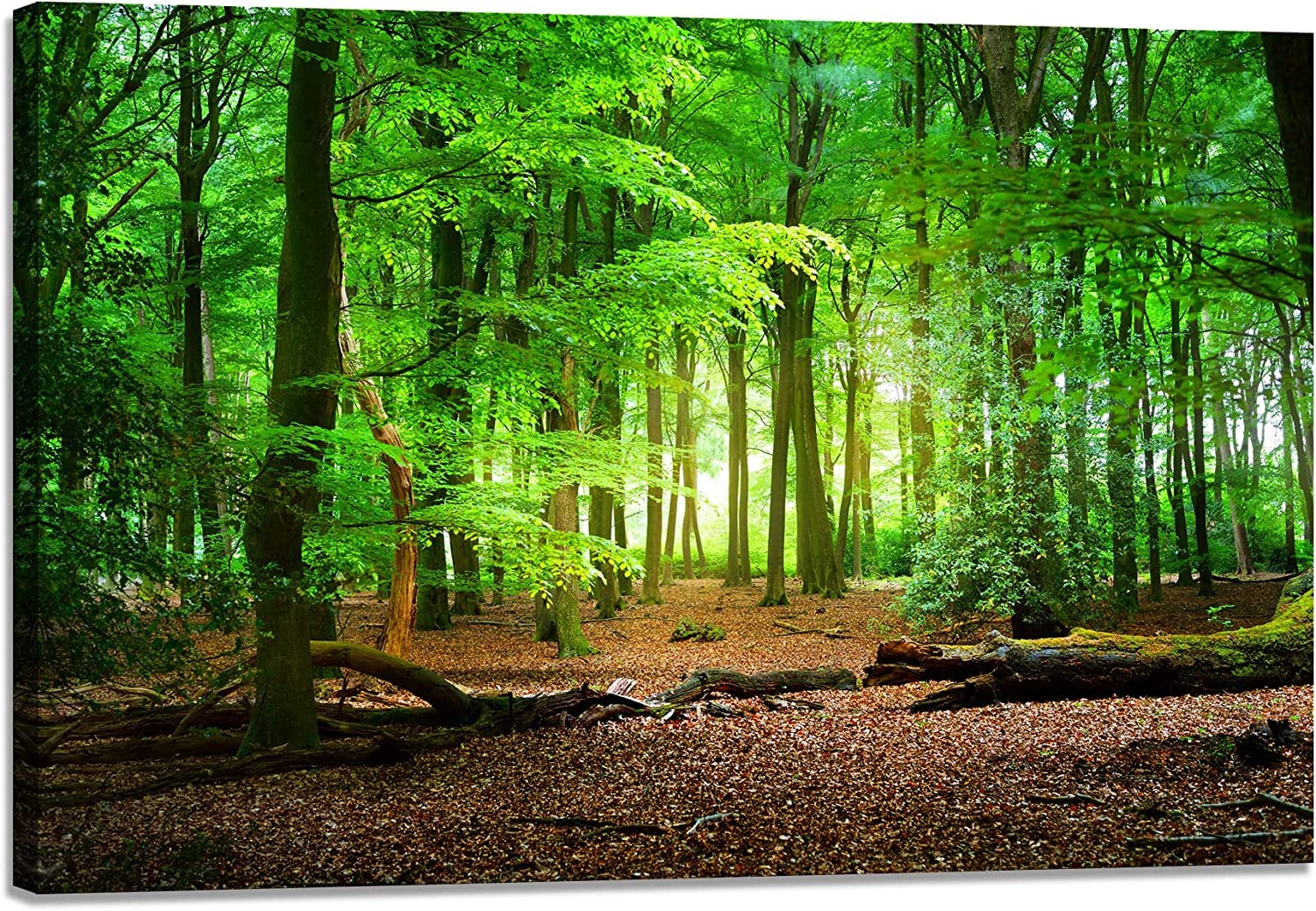 楽天市場】アートパネル ワイド フォレスト 140×45 幅140 高さ45 特大