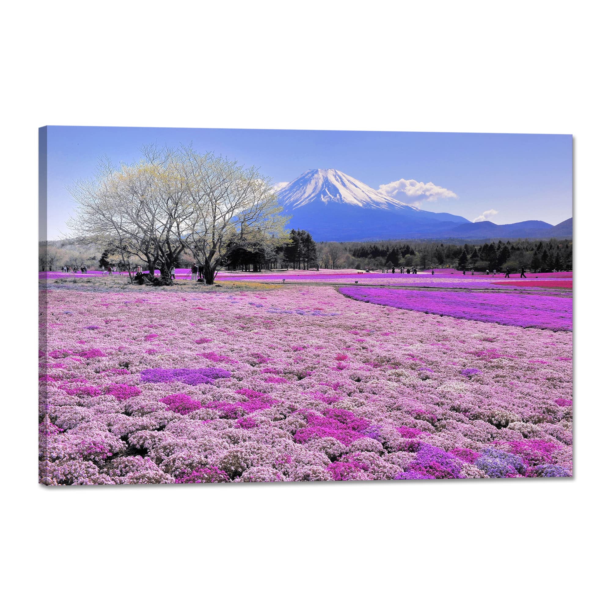 玄関に飾る 山の絵 絵画 花 壁掛け 絵 インテリア自然 風景画モダン 玄関に飾る 山の絵 絵画 花 壁掛け 絵 インテリア自然 風景画