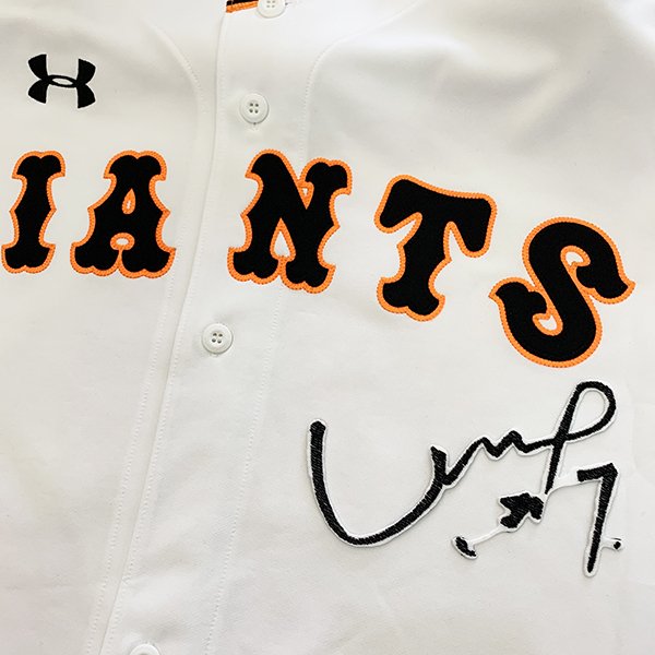 楽天市場】納期注意【読売ジャイアンツ 刺繍ワッペン 長野 ネーム