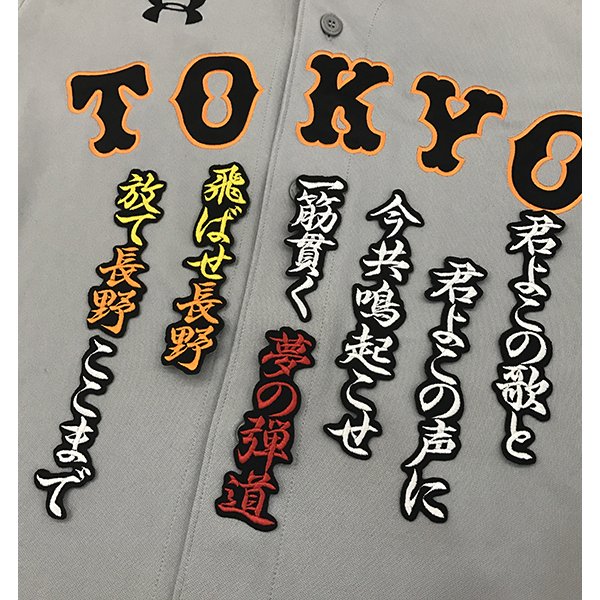 楽天市場】納期注意【読売ジャイアンツ 刺繍ワッペン 長野 ネーム