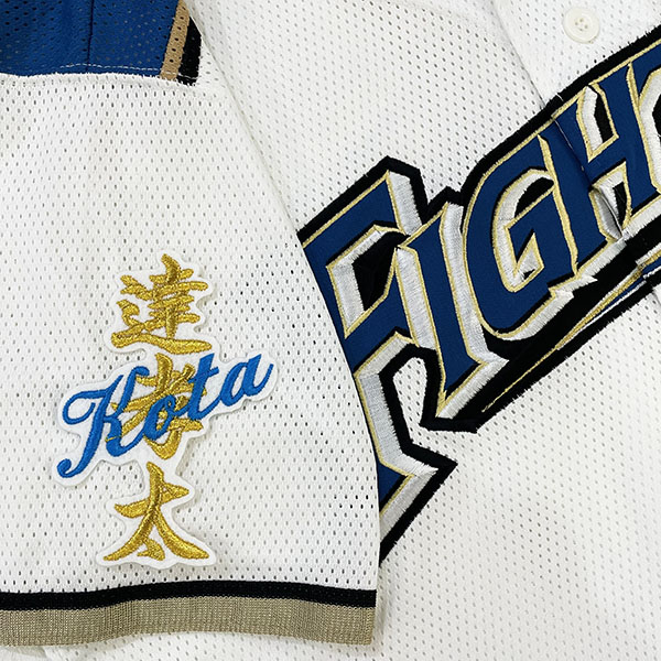 【希少】 日本ハム ファイターズ 田中賢介 刺繍 ユニフォーム NPB 野球 北海道日本ハムファイターズ ユニフォーム 田中賢介 背番号3 刺繍 漢字