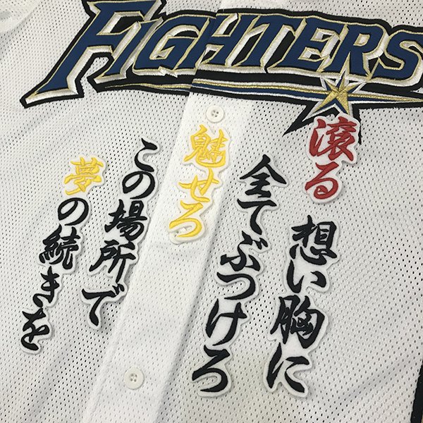 【支給品】ミズノプロ 北海道日本ハムファイターズ 大田泰示選手 背番号5 NPB 楽天市場】北海道日本ハムファイターズ グッズ 大田 泰示 T