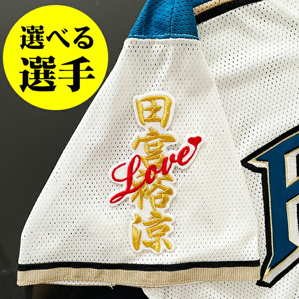 楽天市場】納期注意【日本ハムファイターズ 刺繍ワッペン 田宮 応援歌