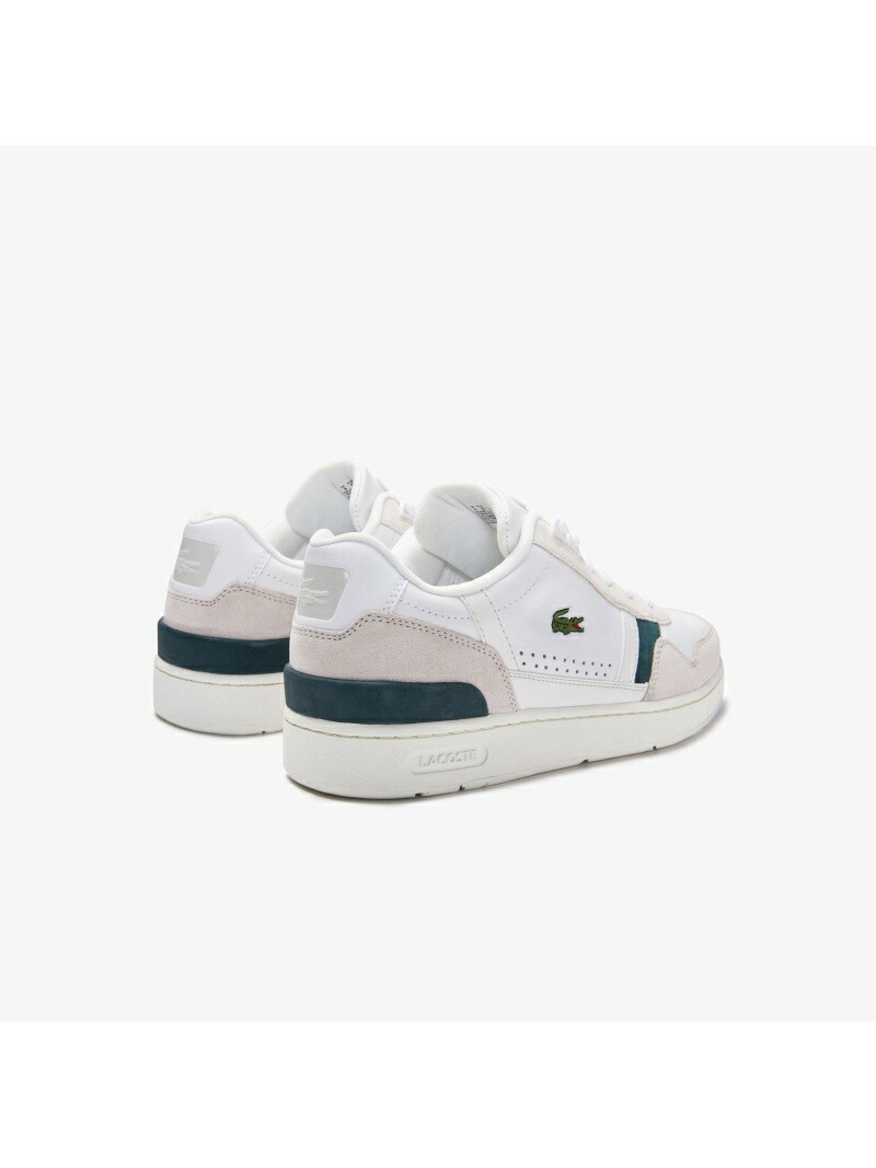 保証書付 ラコステ Lacoste メンズ スニーカー シューズ 靴 T Clip Trainers In White ホワイト ブランド直営 Www Kaneorthotics Co Nz