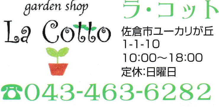 GardenShop LaCottoɺ濴˲ġȭ֡ڡտʪݻ򰷤äƤޤ
