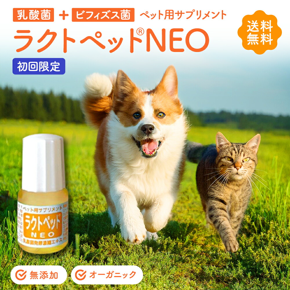 ラクトペット 犬猫用乳酸菌サプリ 腸内環境 ビフィズス菌