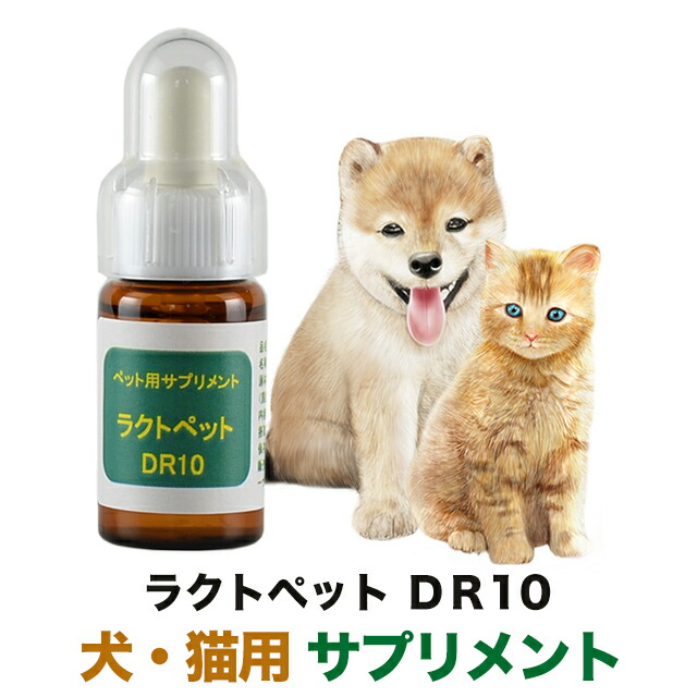 売れ筋直営店 犬猫用サプリ UT クリーン 4本 新品 | atmasoftwares.com.br