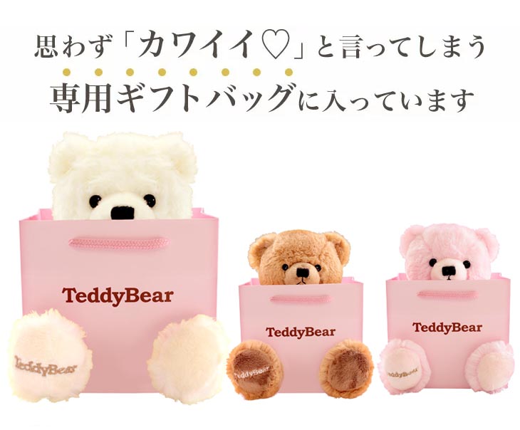 teddy bear gift set