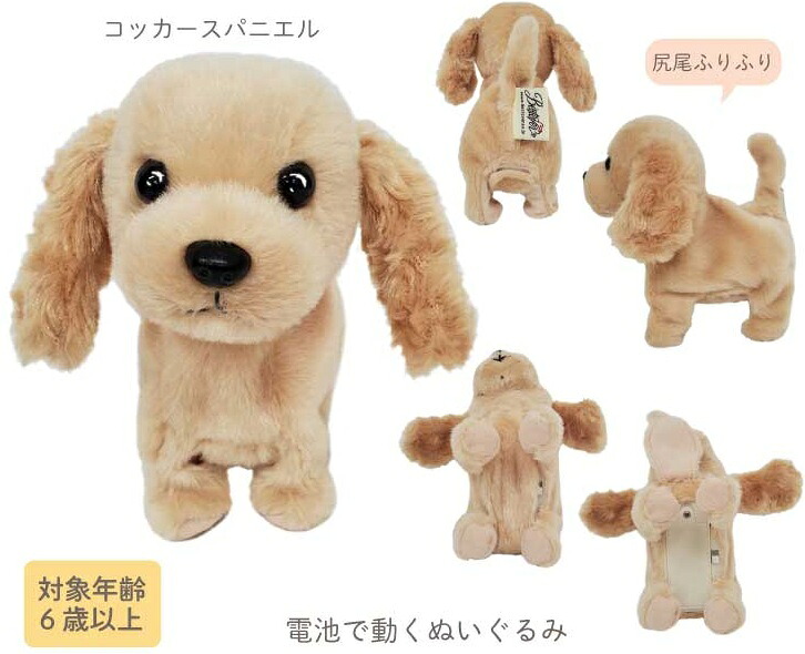 ウォーキングスイートパピー　コッカースパニエル×5