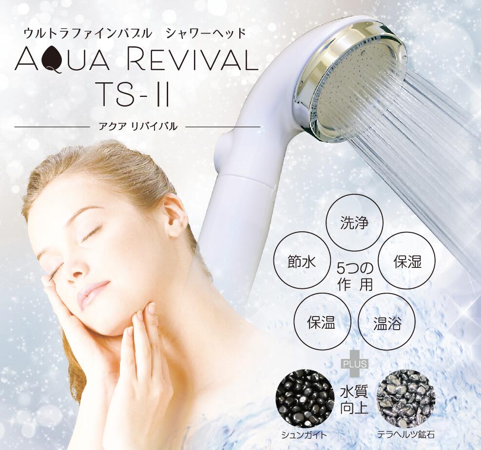 アクア 返り咲きTS-２×1