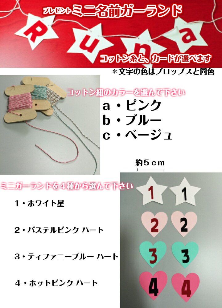 オーダーフォトプロップス 名前 お誕生日 で に名前が入ります や ウェディング フェルト生地と厚紙を使用 フォトプロップス 出産祝い 名入れ無料 日付 素材にもこだわり 結婚式 交換無料 日付