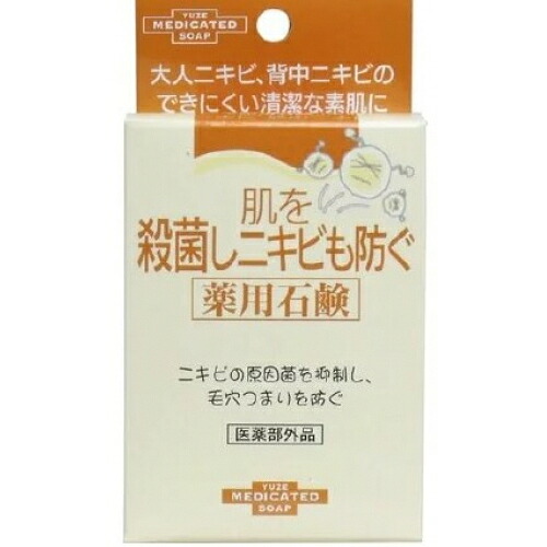 【医薬品部外品】肌を無菌化しニキビも防ぐ 薬用石ケン 110g×60個※取り寄せ商いもの 返品不可