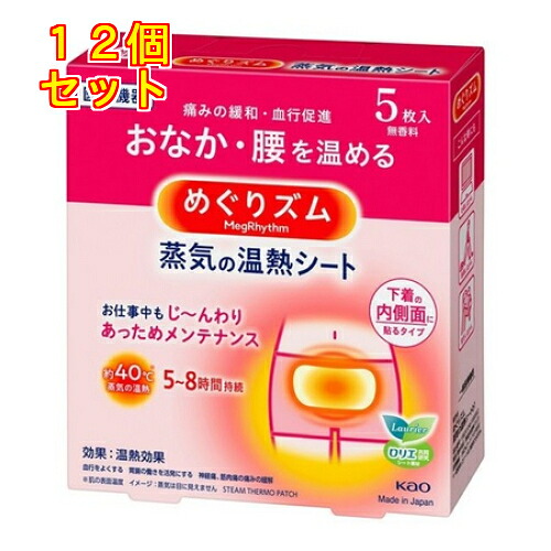 花王　めぐりズム　蒸気の温熱シート　下着の内側面に貼るタイプ　5枚×12個