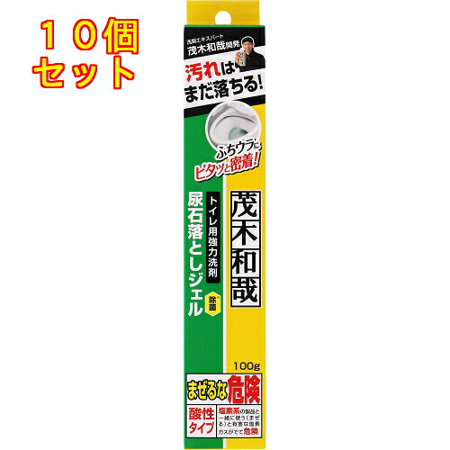 茂木和哉 幼児用便器尿石落としジェル 100g×10個
