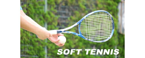 楽天市場】☆ミズノ (mizuno) ソフトテニスラケット スカッド PRO-R