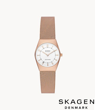 未使用✨SKAGEN スカーゲン GRENEN Lille SKW3052 時計 SKAGEN スカーゲン GRENEN LILLE腕時計 レディース クオーツ