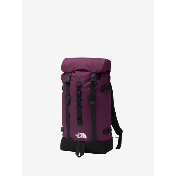 ザ・ノース・フェイス THE NORTH FACE クレッターサック NM82551-PA リュック バックパック バッグ|Lafitte ラフィートスポーツ