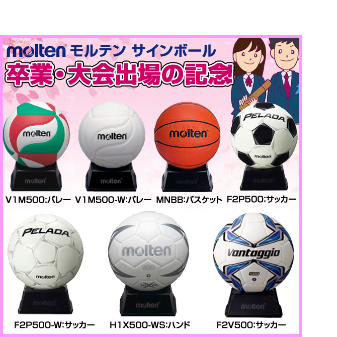 楽天市場 モルテン Molten バレーボール サイン色紙 卒業記念 卒団記念 記念品 お祝い 寄せ書き Xa0110 V バレー バレーボール館