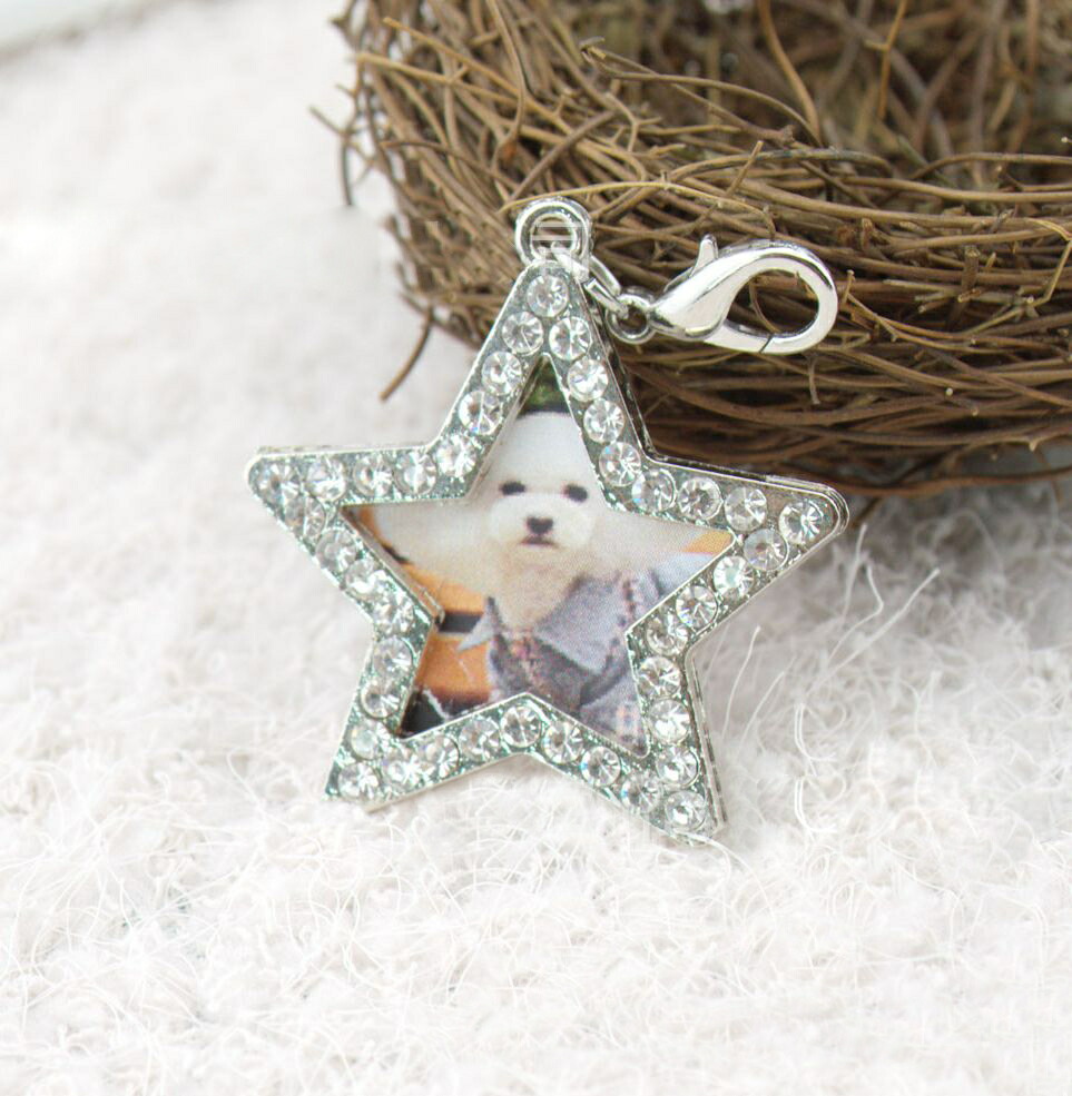 送料無料 ペット ハート 迷子札 ネコ 犬 写真入れ ジュエリー ペンダント 首輪アクセサリー