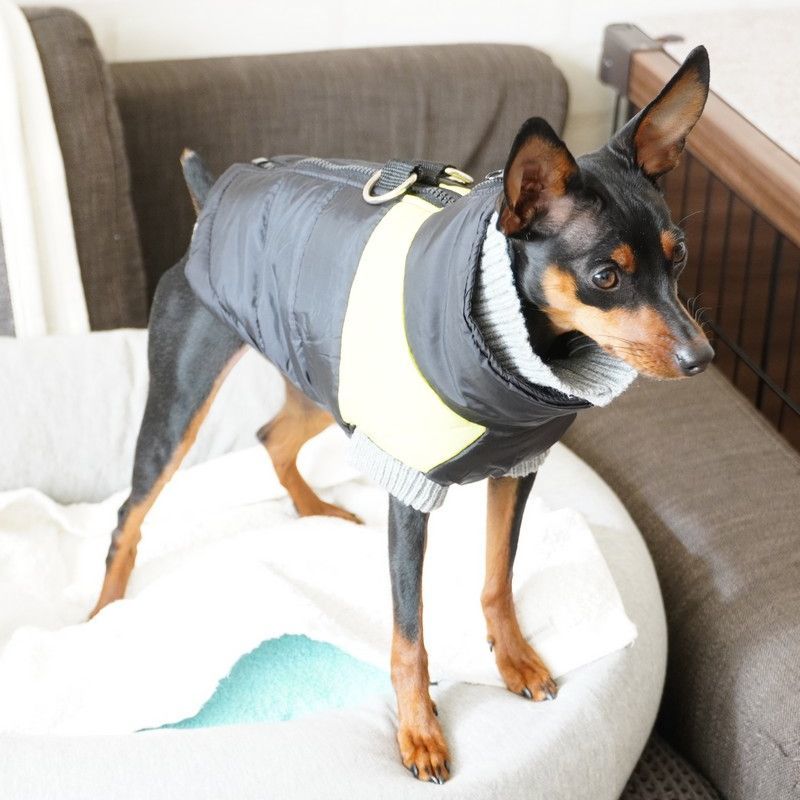 送料無料 ペット服 袖なし Dカン付 背中ファスナー 小型犬 ジャンパー 犬 ダウン風ベスト ジャケット 防寒 猫