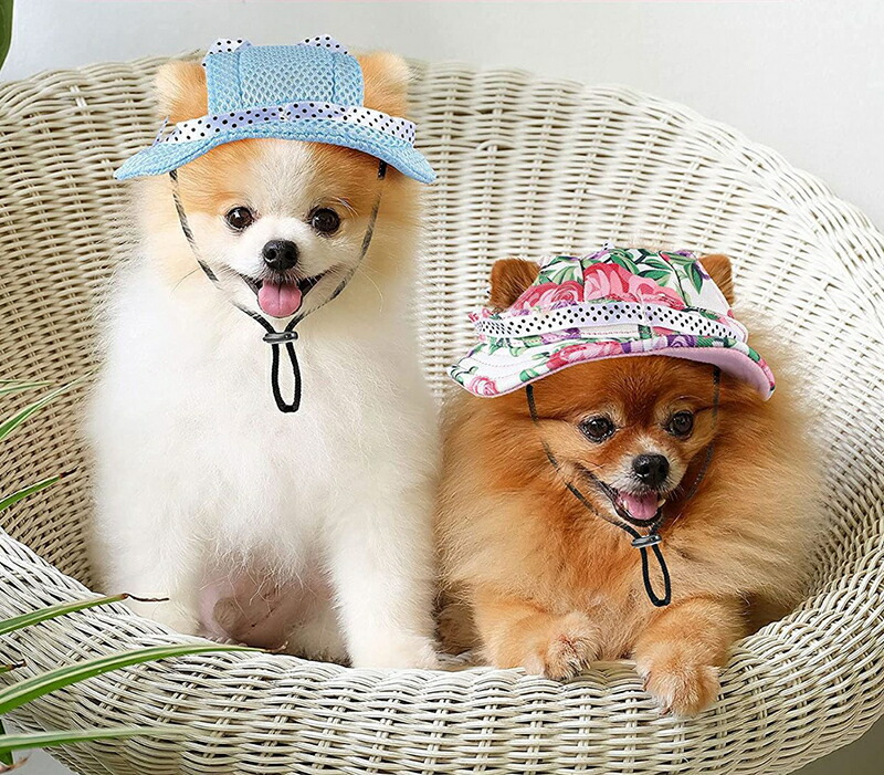 市場 送料無料 日除け 愛犬 ぼうし 犬用帽子 ドッグハット 帽子 犬