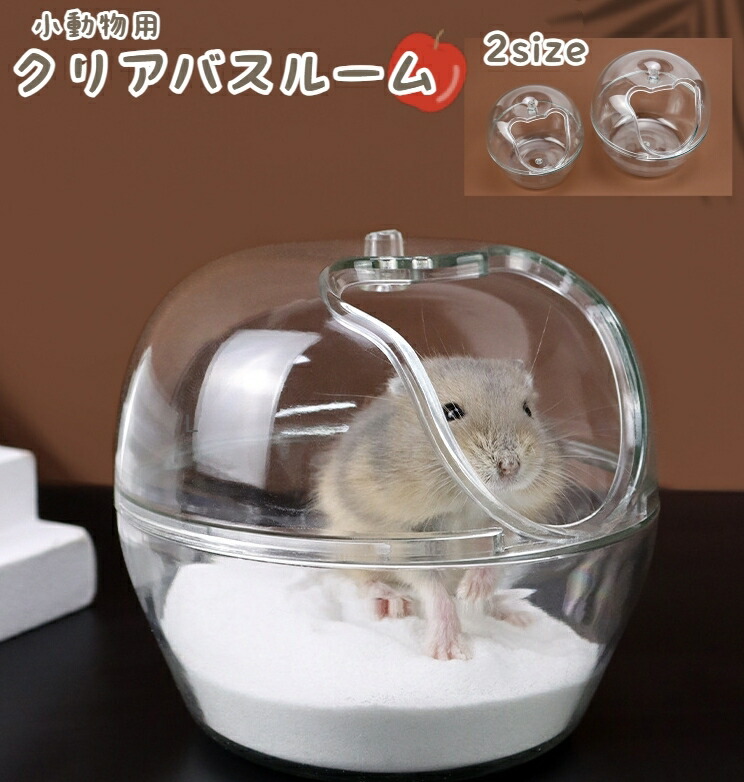 楽天市場】ゴールデンハムスターのトイレスペース！ゴールデン