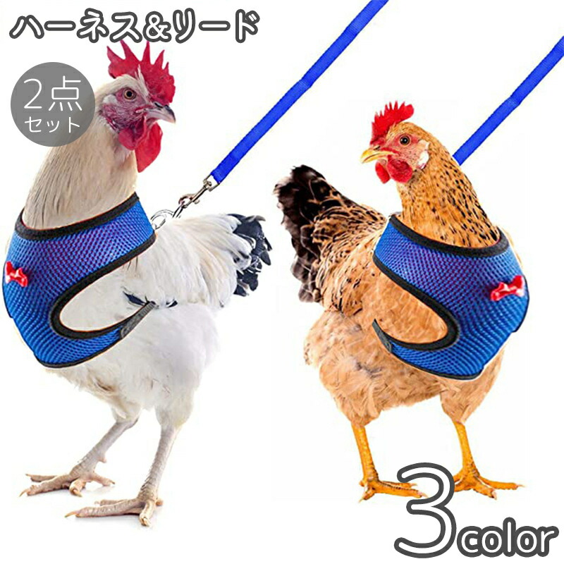 楽天市場】送料無料 ハーネス リード 2点セット 鶏用 アヒル 鳥