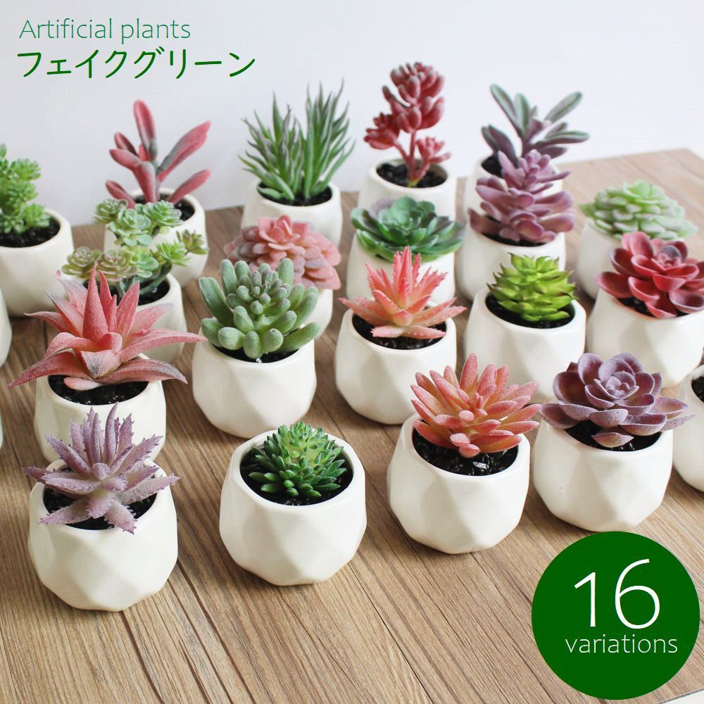 楽天市場】送料無料 フェイクグリーン 単品 鉢植え 造花 人工多肉植物